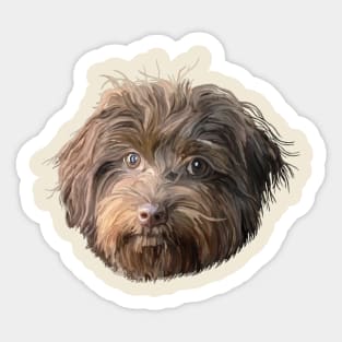 Havanese Dog Portrait Sticker